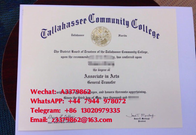 塔拉哈西社区学院毕业证书，TCC Diploma文凭样式