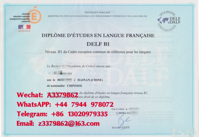 法语DELF Diploma语言证书，DALF 高级法语文凭