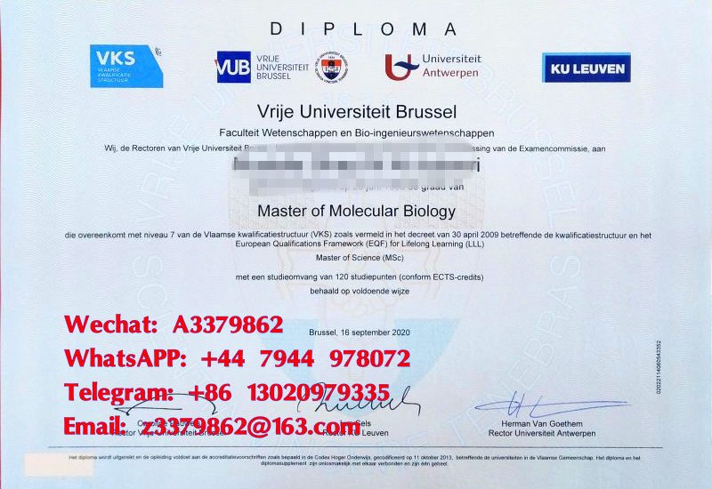 荷语布鲁塞尔自由大学学位证书，UVB文凭样本
