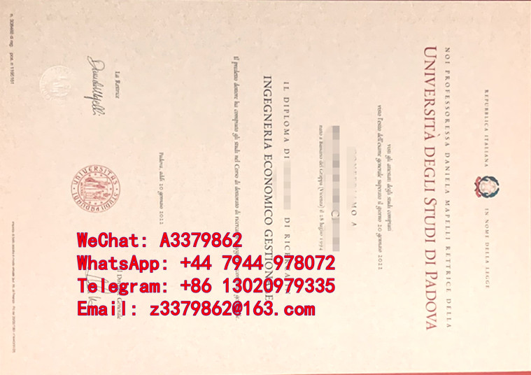 探索帕多瓦大学毕业证，Università di Padova Diploma文凭精髓