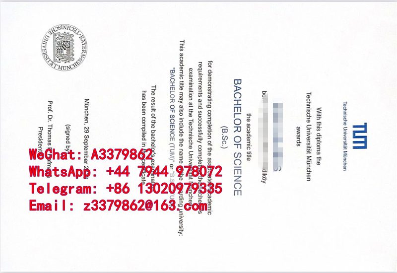 慕尼黑工业大学毕业证篇：TUM Diploma文凭参考图