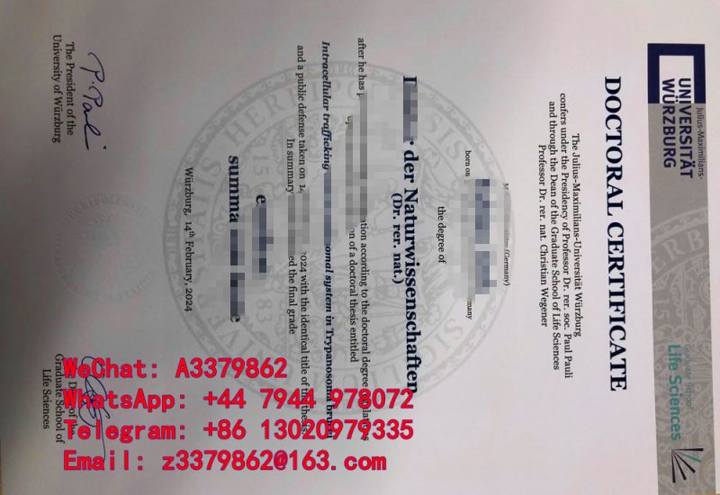 德国Würzburg Diploma文凭，维尔茨堡大学毕业证参考图