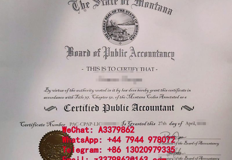 探索美国注册会计师证书，CPA certificate精髓