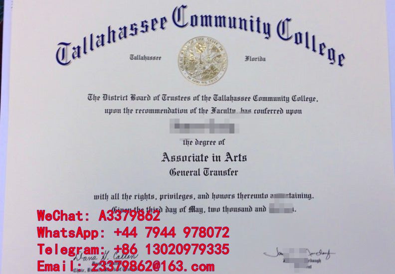 更新TCC Diploma文凭|塔拉哈西社区学院毕业证指定单位