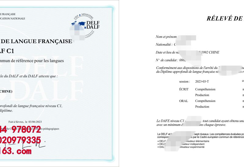 法语语言证书种类，dalf certificate解析
