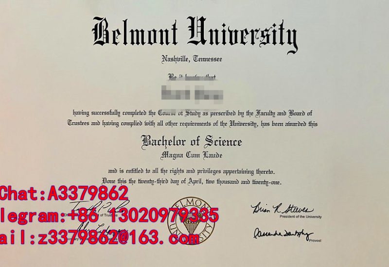Belmont University Diploma|贝尔蒙特大学毕业证效果|硕士文凭含金量