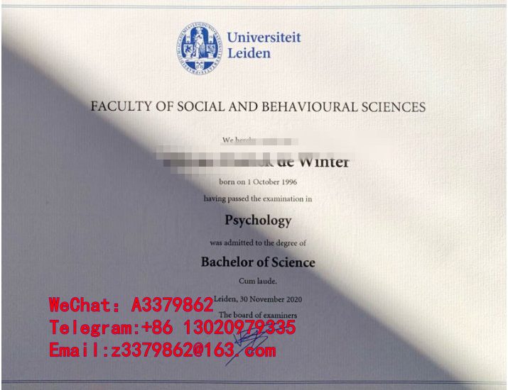 再见莱顿大学毕业证，Universiteit Leiden Diploma文凭细节图