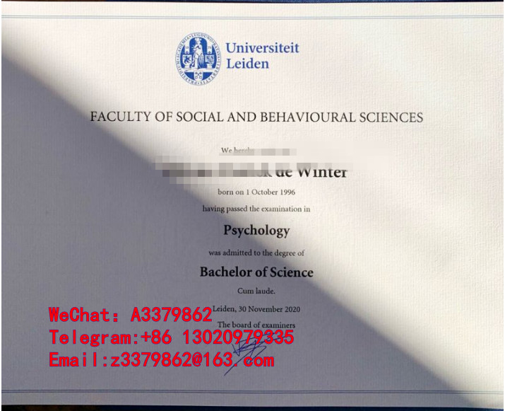 再见莱顿大学毕业证，Universiteit Leiden Diploma文凭细节图